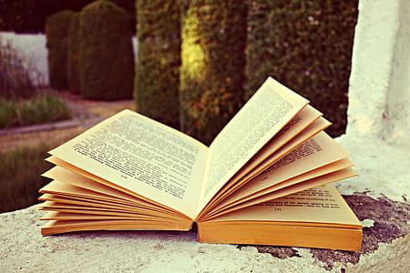 book-pages-open-book-literature-thumb.jpg